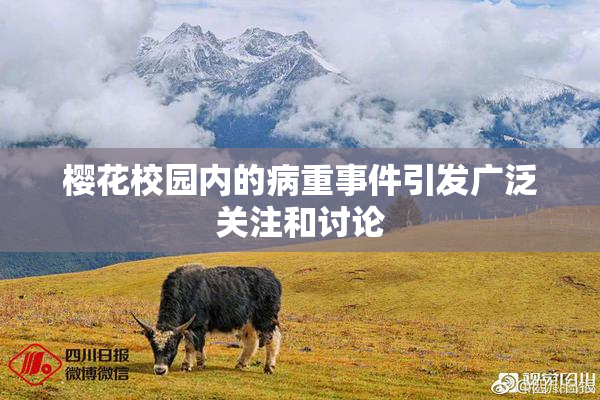 樱花校园内的病重事件引发广泛关注和讨论