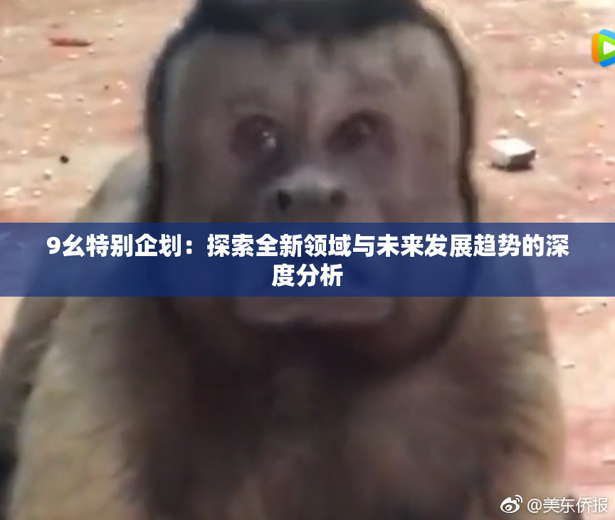 9幺特别企划：探索全新领域与未来发展趋势的深度分析