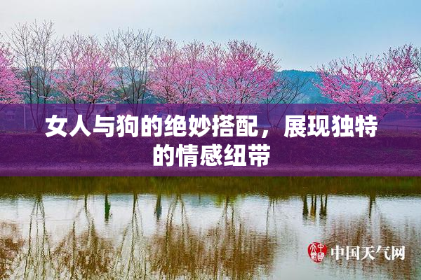 女人与狗的绝妙搭配，展现独特的情感纽带