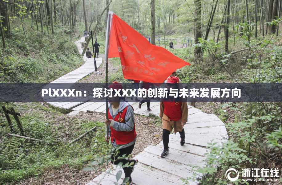 PlXXXn：探讨XXX的创新与未来发展方向