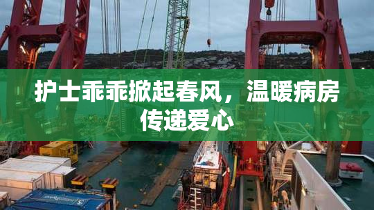 护士乖乖掀起春风，温暖病房传递爱心