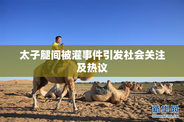 太子腿间被灌事件引发社会关注及热议