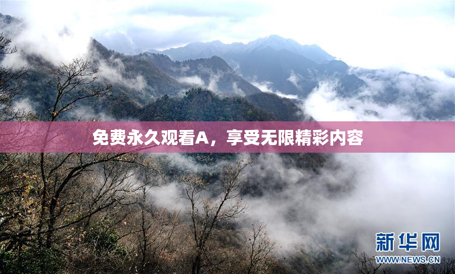 免费永久观看A，享受无限精彩内容