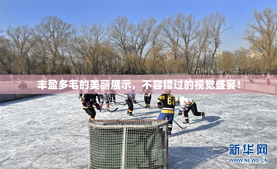丰盈多毛的美丽展示，不容错过的视觉盛宴！