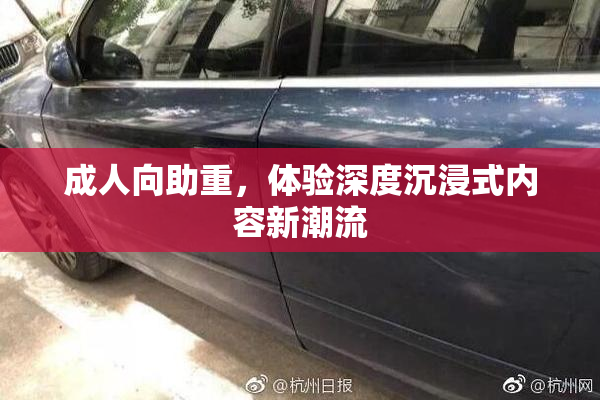 成人向助重，体验深度沉浸式内容新潮流