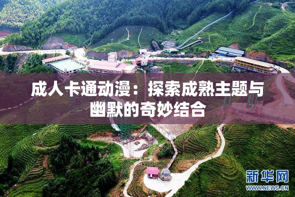 成人卡通动漫：探索成熟主题与幽默的奇妙结合