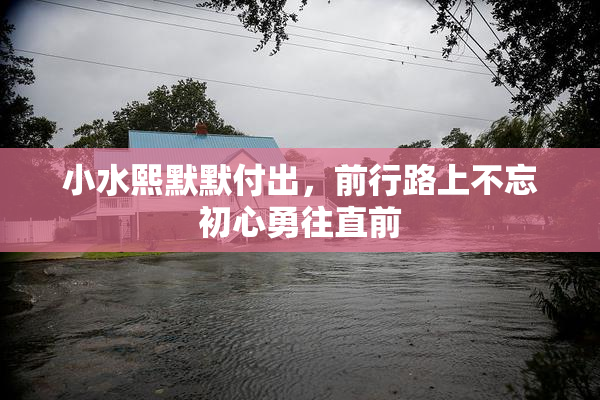 小水熙默默付出，前行路上不忘初心勇往直前