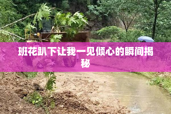 班花趴下让我一见倾心的瞬间揭秘