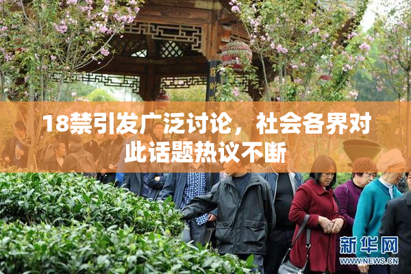 18禁引发广泛讨论，社会各界对此话题热议不断