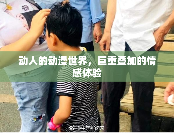 动人的动漫世界，巨重叠加的情感体验