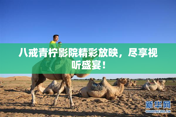 八戒青柠影院精彩放映，尽享视听盛宴！