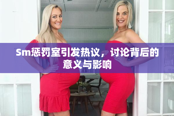 Sm惩罚室引发热议，讨论背后的意义与影响