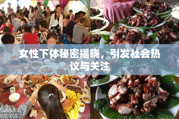 女性下体秘密揭晓，引发社会热议与关注