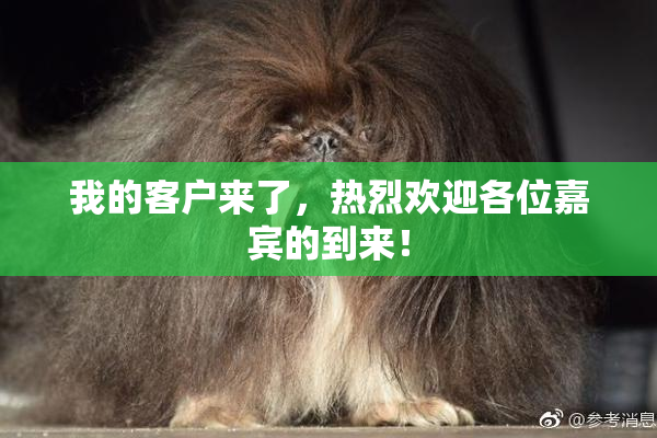 我的客户来了，热烈欢迎各位嘉宾的到来！