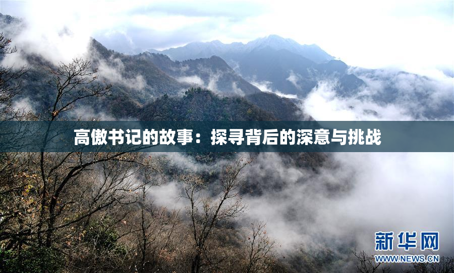 高傲书记的故事：探寻背后的深意与挑战