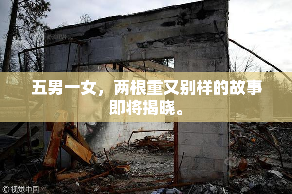 五男一女，两根重又别样的故事即将揭晓。