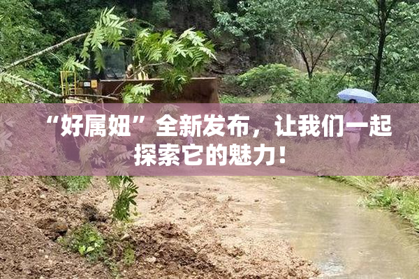 “好属妞”全新发布，让我们一起探索它的魅力！