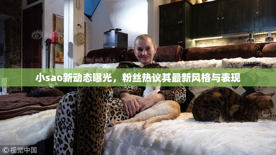 小sao新动态曝光，粉丝热议其最新风格与表现