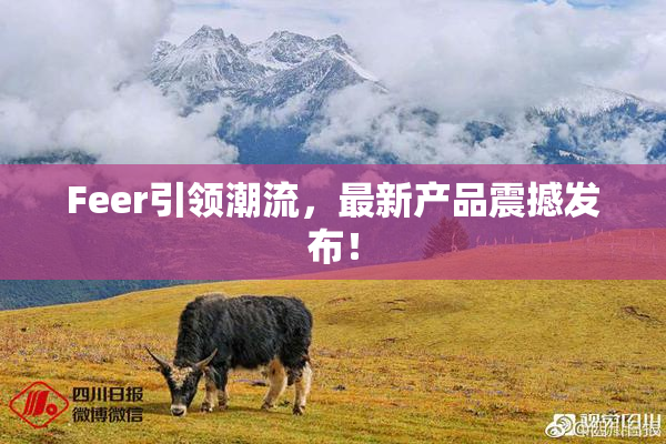 Feer引领潮流，最新产品震撼发布！