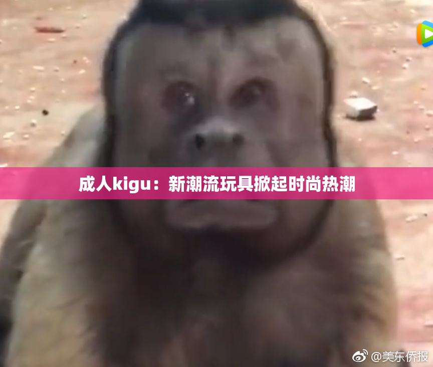 成人kigu：新潮流玩具掀起时尚热潮