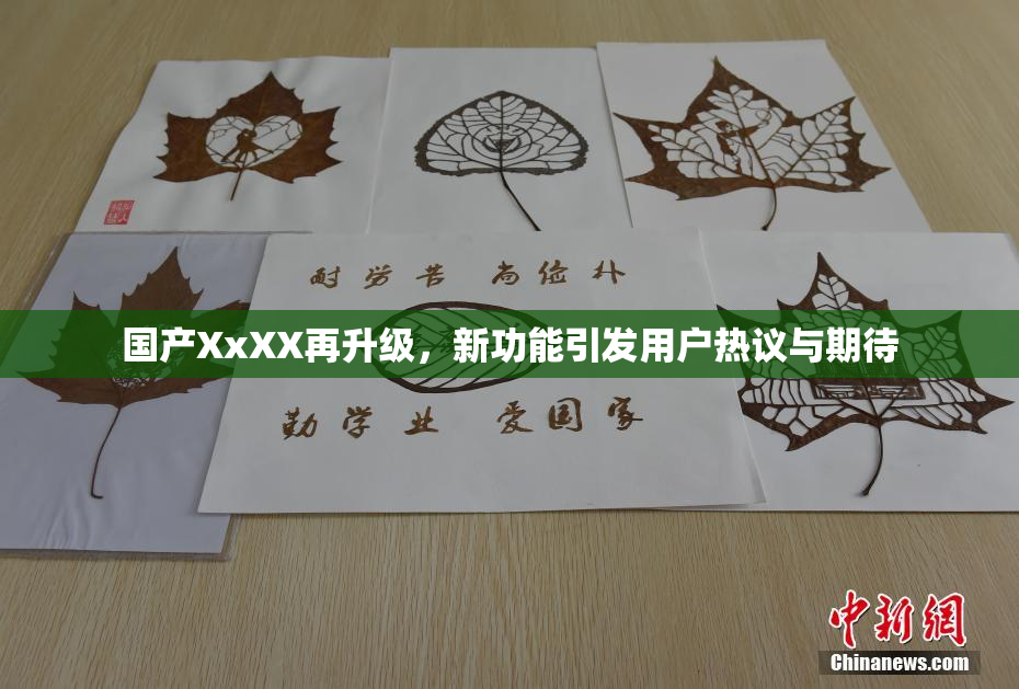 国产XxXX再升级，新功能引发用户热议与期待