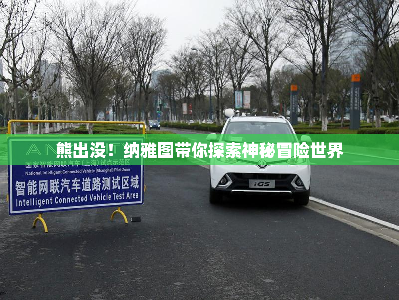 熊出没！纳雅图带你探索神秘冒险世界