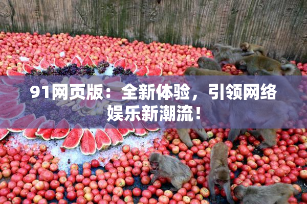 91网页版：全新体验，引领网络娱乐新潮流！
