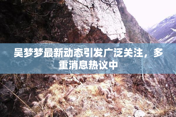 吴梦梦最新动态引发广泛关注，多重消息热议中