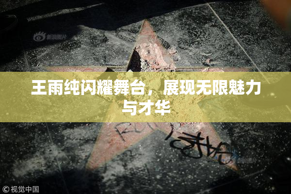 王雨纯闪耀舞台，展现无限魅力与才华