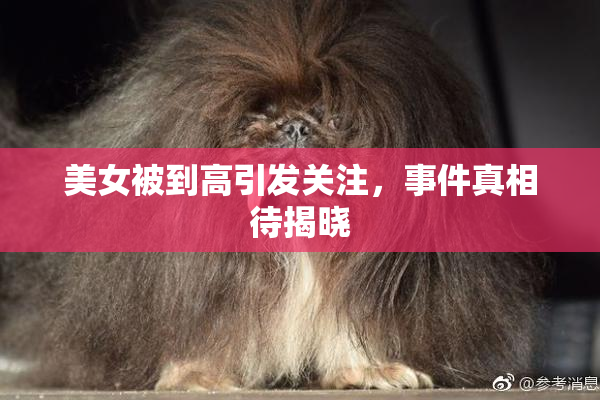 美女被到高引发关注，事件真相待揭晓