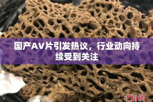 国产AV片引发热议，行业动向持续受到关注