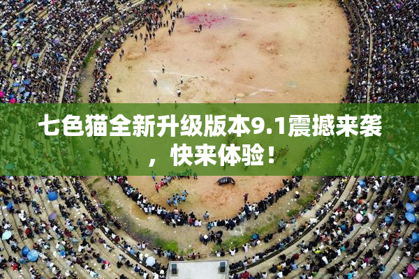 七色猫全新升级版本9.1震撼来袭，快来体验！
