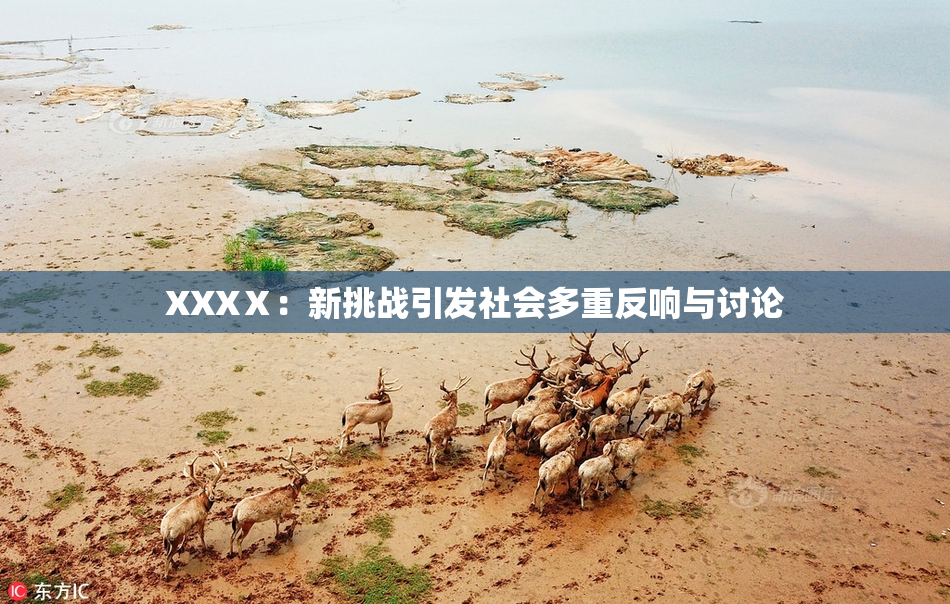 XXXⅩ：新挑战引发社会多重反响与讨论