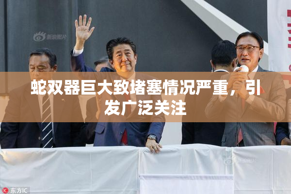 蛇双器巨大致堵塞情况严重，引发广泛关注