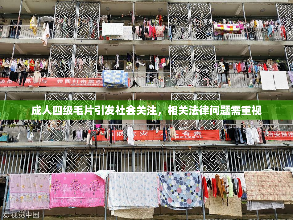 成人四级毛片引发社会关注，相关法律问题需重视