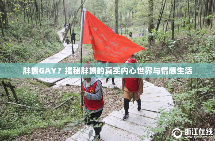 胖熊GAY？揭秘胖熊的真实内心世界与情感生活