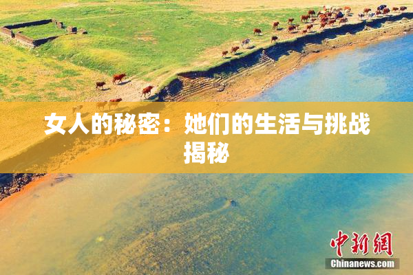 女人的秘密：她们的生活与挑战揭秘