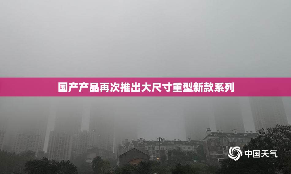 国产产品再次推出大尺寸重型新款系列