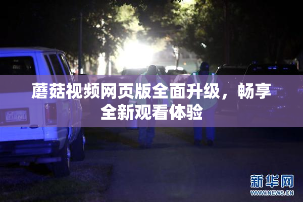 蘑菇视频网页版全面升级，畅享全新观看体验