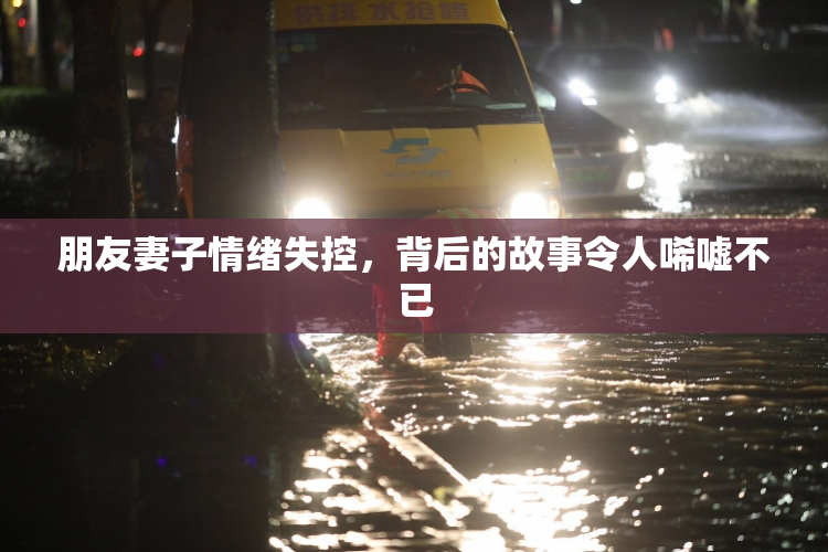 朋友妻子情绪失控，背后的故事令人唏嘘不已