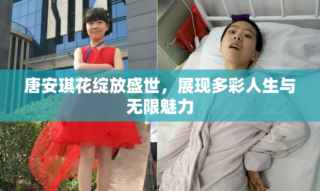 唐安琪花绽放盛世，展现多彩人生与无限魅力