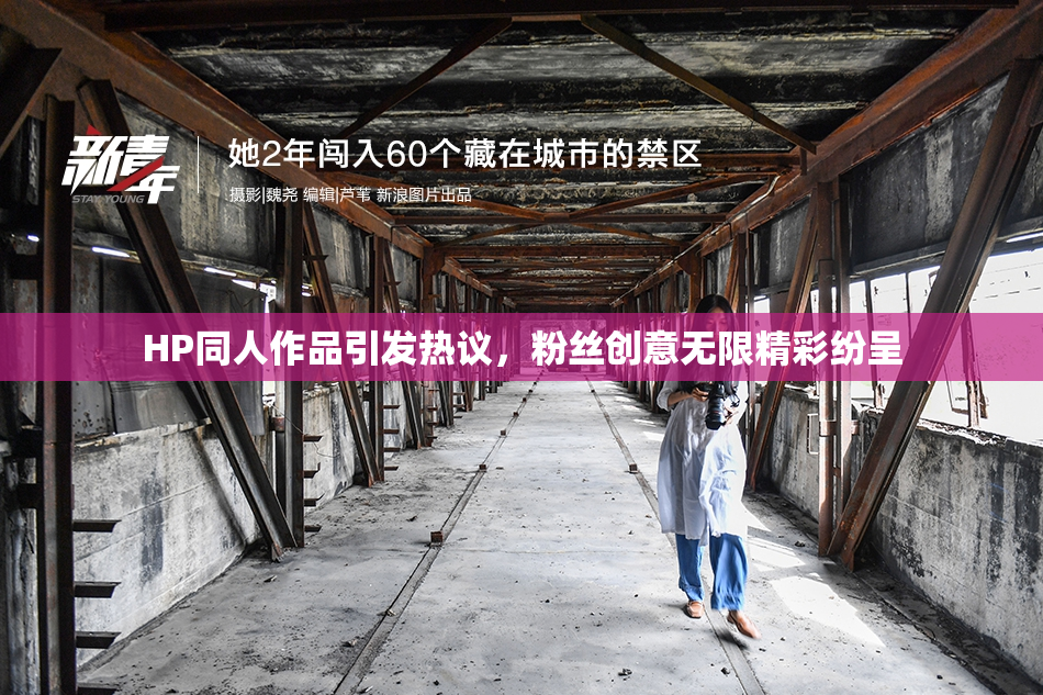 HP同人作品引发热议，粉丝创意无限精彩纷呈