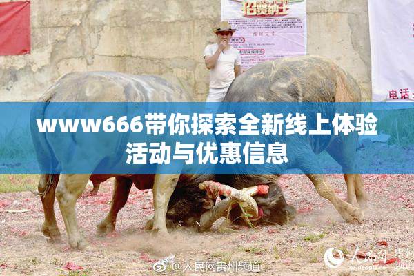www666带你探索全新线上体验活动与优惠信息