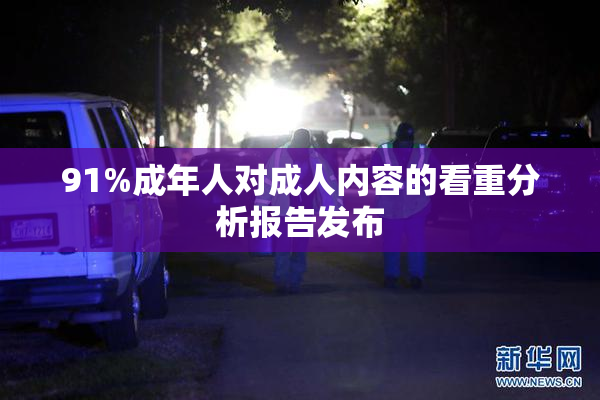 91%成年人对成人内容的看重分析报告发布
