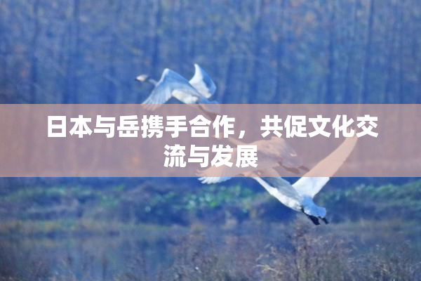 日本与岳携手合作，共促文化交流与发展