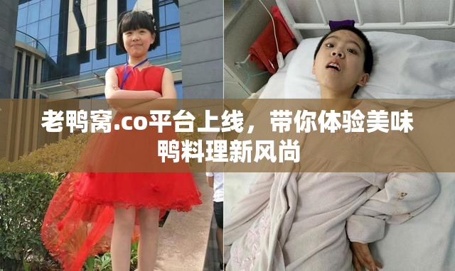 老鸭窝.co平台上线，带你体验美味鸭料理新风尚
