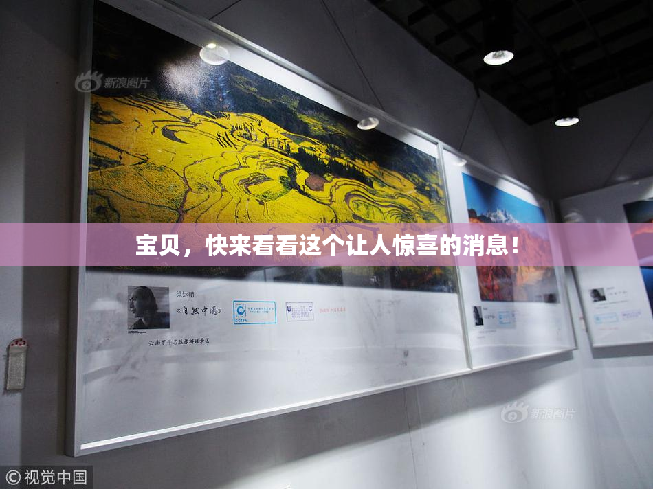 宝贝，快来看看这个让人惊喜的消息！