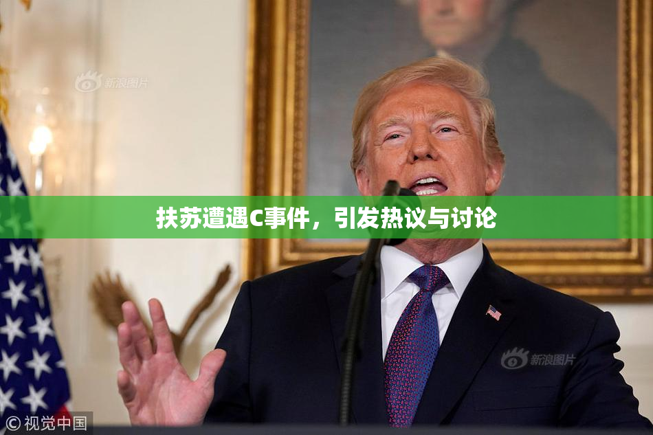 扶苏遭遇C事件，引发热议与讨论