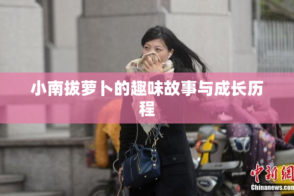 小南拔萝卜的趣味故事与成长历程