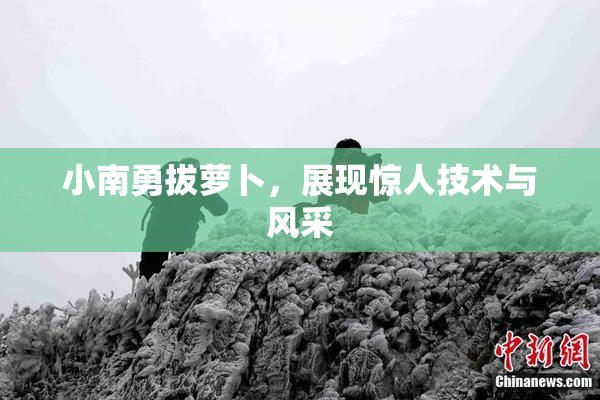 小南勇拔萝卜，展现惊人技术与风采